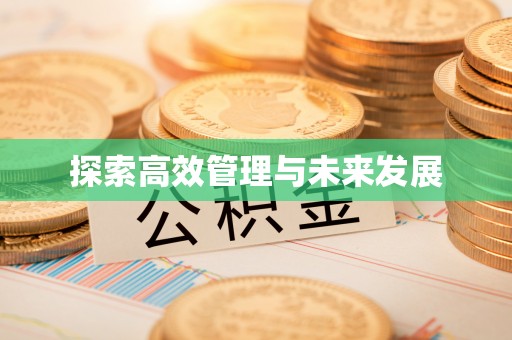 巴东探索高效管理与未来发展