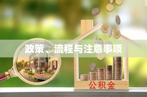 巴东政策、流程与注意事项