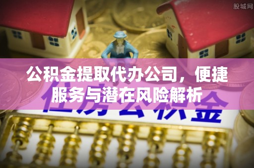 巴东公积金提取代办公司，便捷服务与潜在风险解析