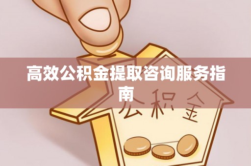 巴东高效公积金提取咨询服务指南