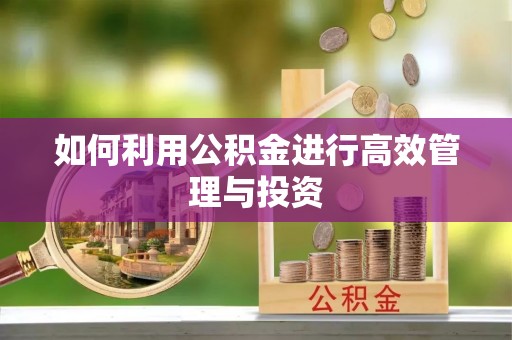 巴东如何利用公积金进行高效管理与投资
