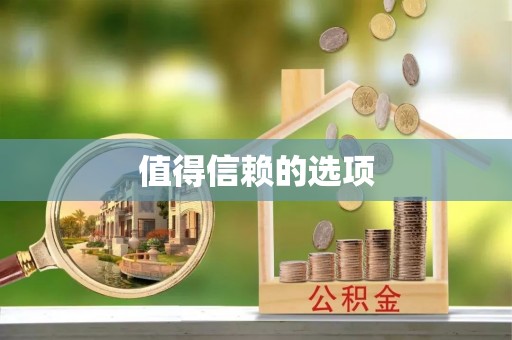 巴东值得信赖的选项