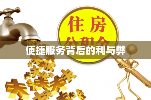 巴东便捷服务背后的利与弊